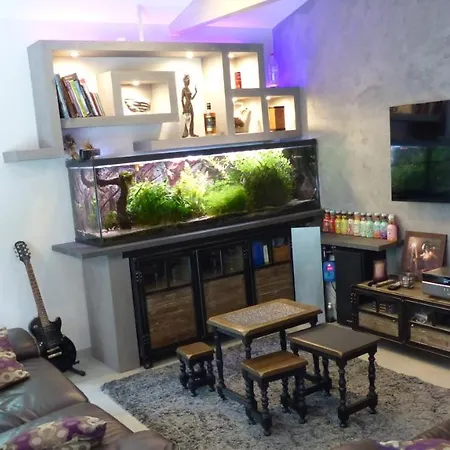 Standing Piscine Privee En Ecrin De Verdure Mérignac