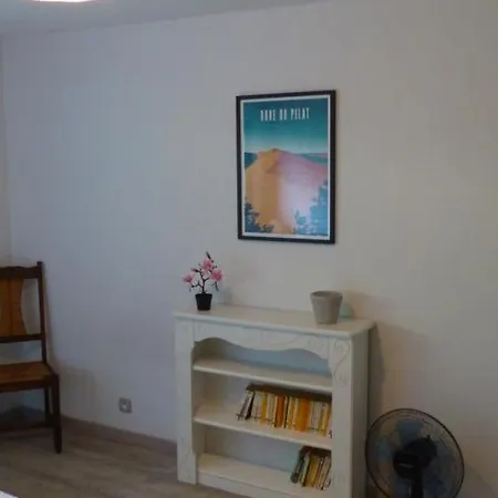 Standing Piscine Privee En Ecrin De Verdure Mérignac