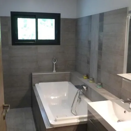 Standing Piscine Privee En Ecrin De Verdure Vila Mérignac