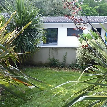 Standing Piscine Privee En Ecrin De Verdure Vila *