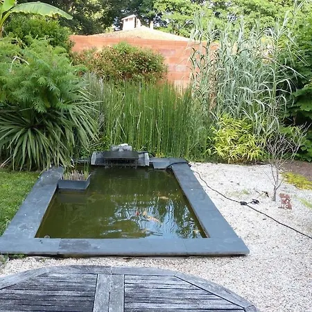 Standing Piscine Privee En Ecrin De Verdure Merignac (Gironde)