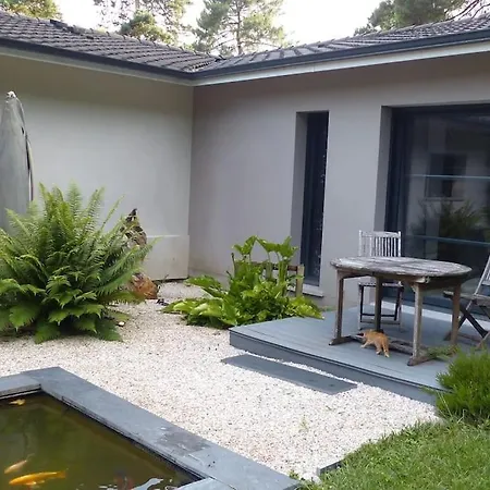 Vila Standing Piscine Privee En Ecrin De Verdure Mérignac