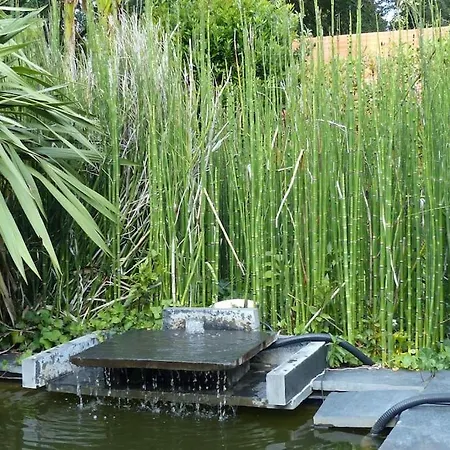 Standing Piscine Privee En Ecrin De Verdure Vila Mérignac