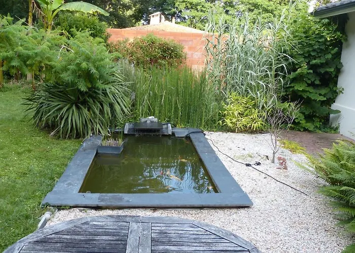 Standing Piscine Privee En Ecrin De Verdure Mérignac