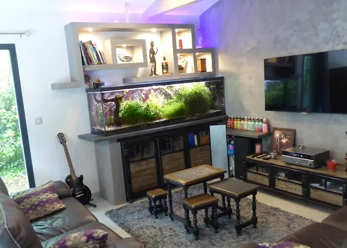 Standing Piscine Privee En Ecrin De Verdure Mérignac