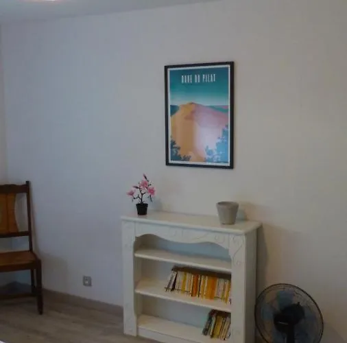 Standing Piscine Privee En Ecrin De Verdure Mérignac