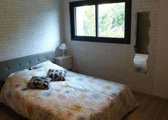 Standing Piscine Privee En Ecrin De Verdure Mérignac