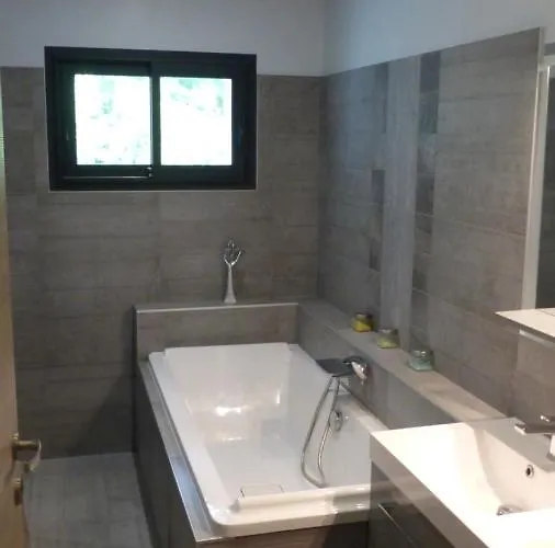 Standing Piscine Privee En Ecrin De Verdure Villa Mérignac