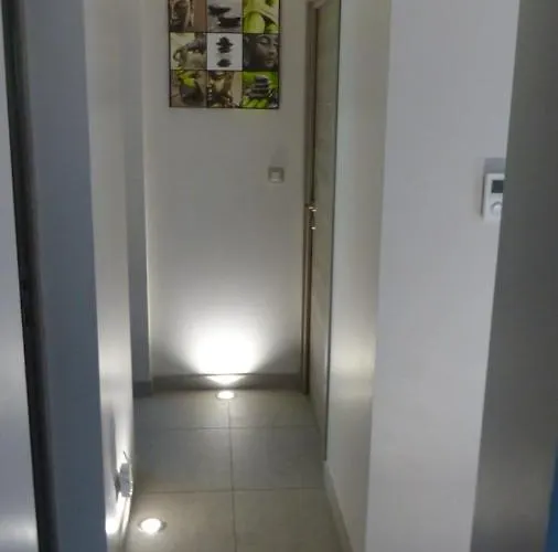 Standing Piscine Privee En Ecrin De Verdure Villa Mérignac