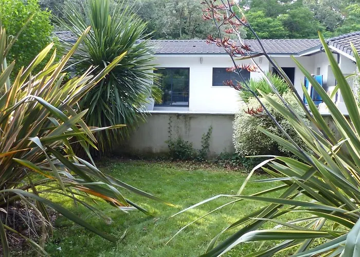 Standing Piscine Privee En Ecrin De Verdure Villa *