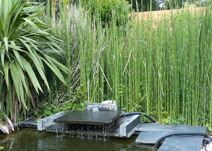 Standing Piscine Privee En Ecrin De Verdure Villa