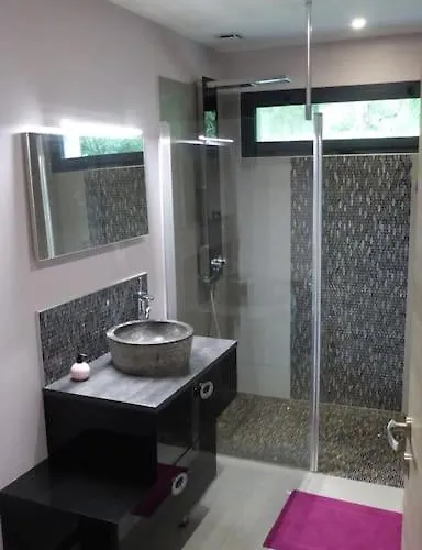 Standing Piscine Privee En Ecrin De Verdure * Mérignac