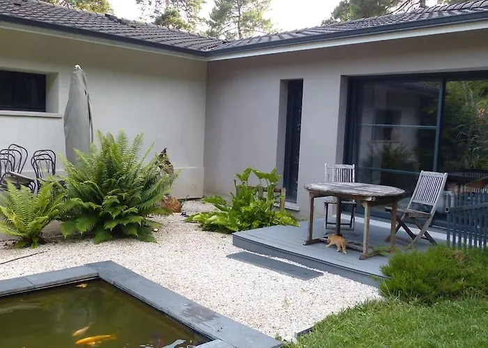 Villa Standing Piscine Privee En Ecrin De Verdure Mérignac